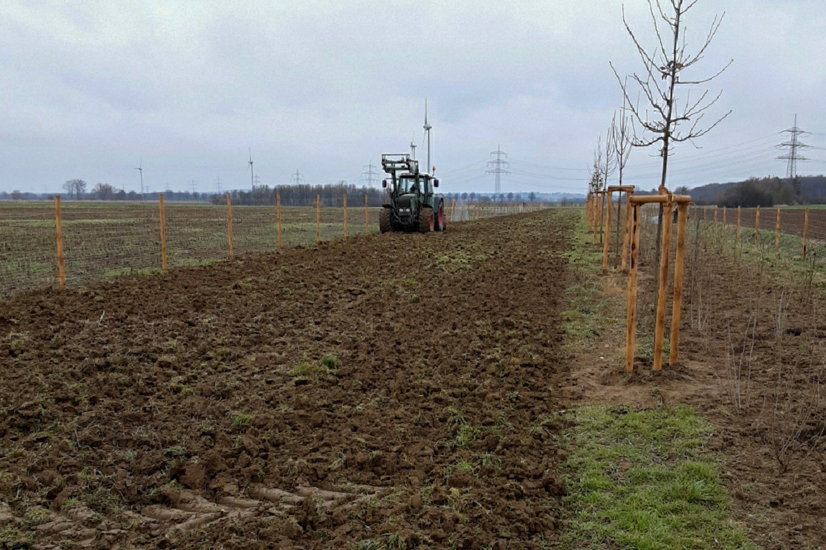 Ausgleichfläche Pflasterarbeiten Hausgarten