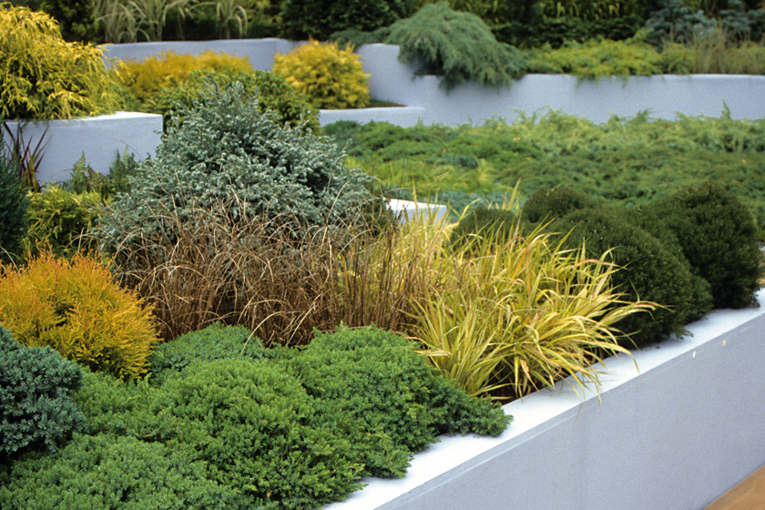 dichte Bepflanzung mit Steineinrahmung